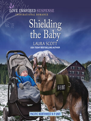 cover image of Shielding the Baby